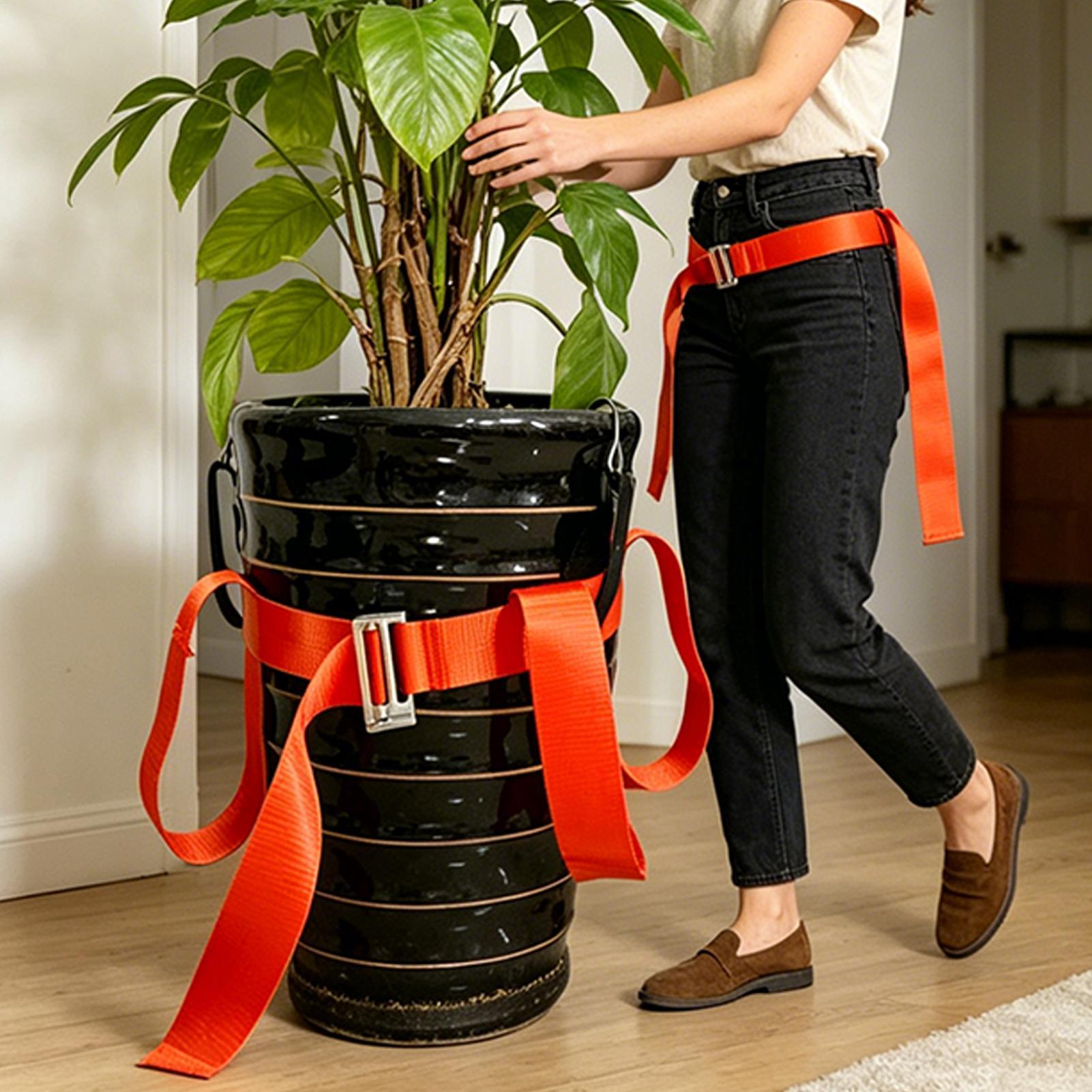 Tali Pengangkat Tanaman Pot, S - Lifting Belt ulasan dan harga