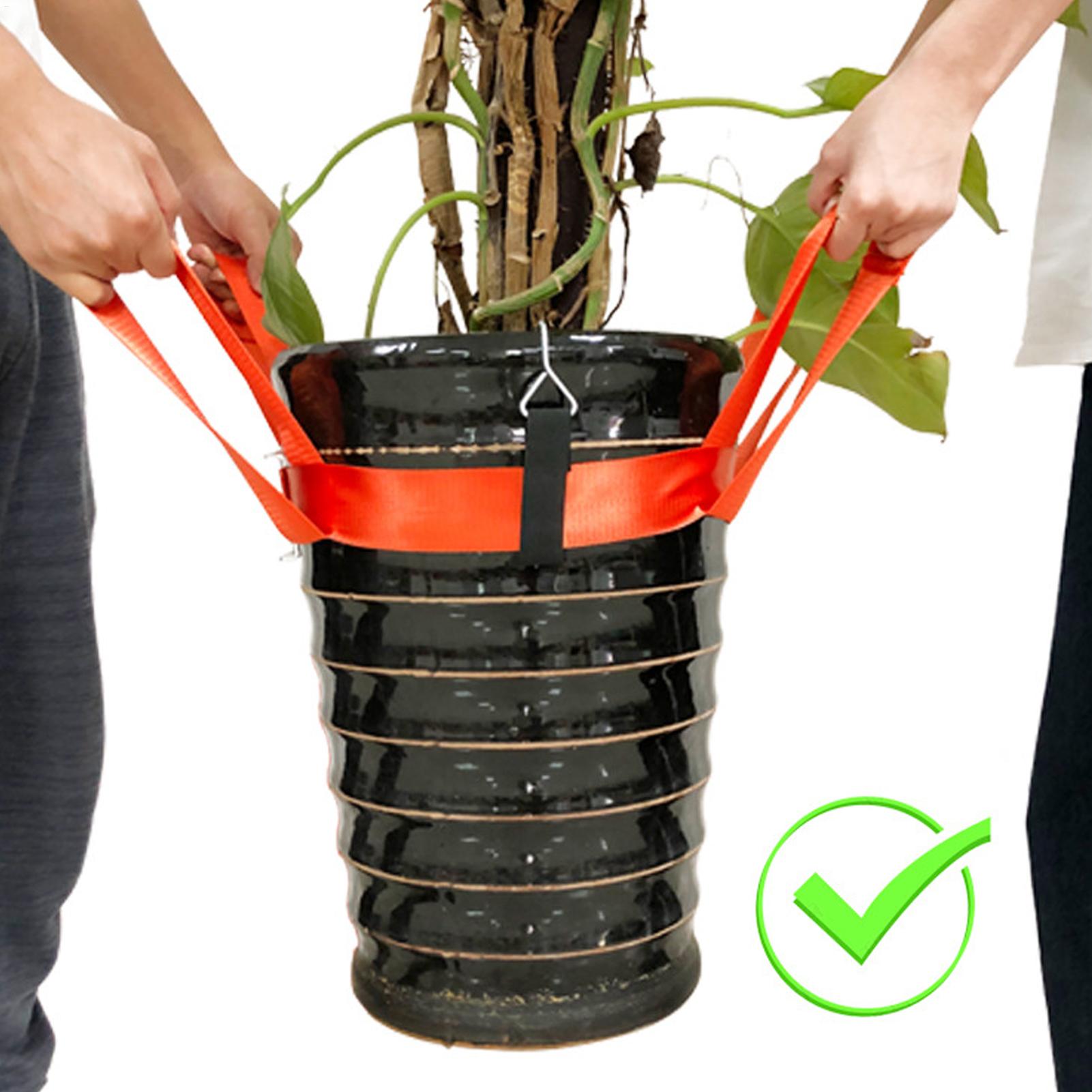Tali Pengangkat Tanaman Pot, S - Lifting Belt ulasan dan harga